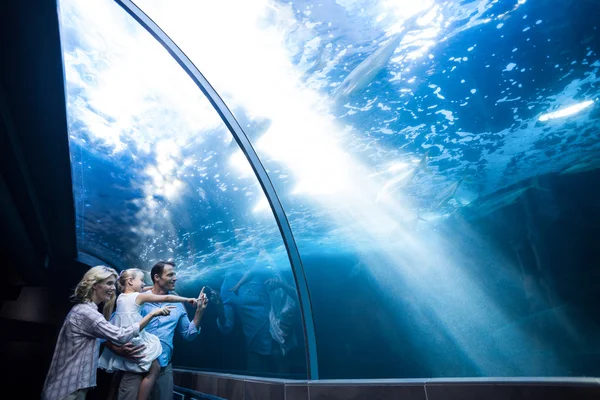 Family looking at fish in a tank — Stock Photo, Image