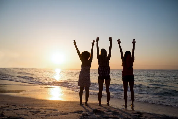 Gruppe von Freunden, die Spaß haben — Stockfoto