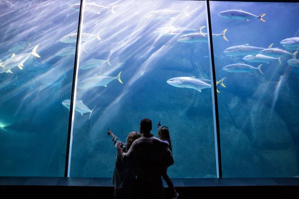 Family looking at fish tank — Stock Photo, Image