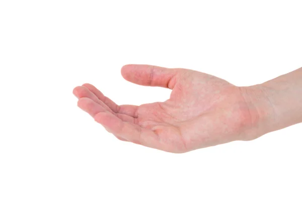 Mujer presentando con su mano — Foto de Stock