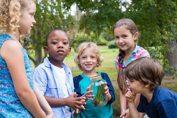 Happy siblings looking at a jar — Stockfoto