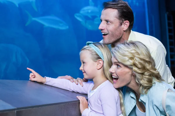 Семья смотрит на аквариум с рыбой — стоковое фото