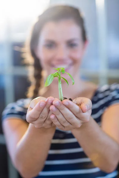 Morena segurando brotos verdes — Fotografia de Stock