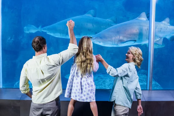 Family looking at the fish tank — Stockfoto