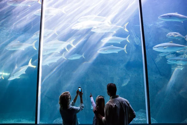 Family looking at fish tank — Stock Photo, Image