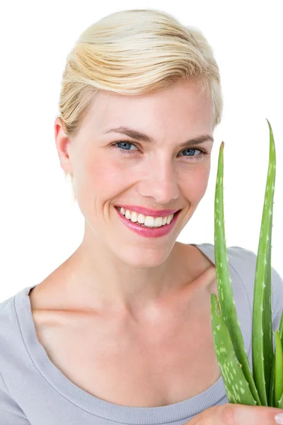 Atraktivní žena drží aloe vera rostlina — Stock fotografie