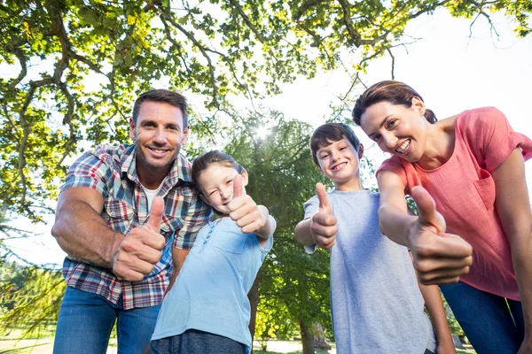Family in the park together — Stock Photo, Image