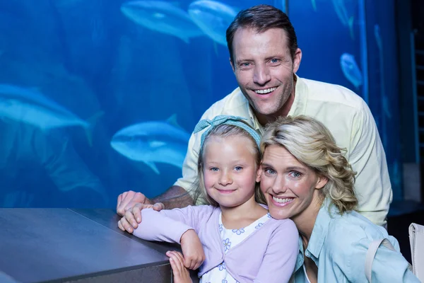 Семья рядом с аквариумом — стоковое фото
