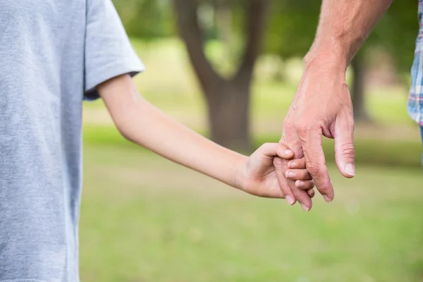 Vater und Sohn halten Händchen im Park — Stockfoto