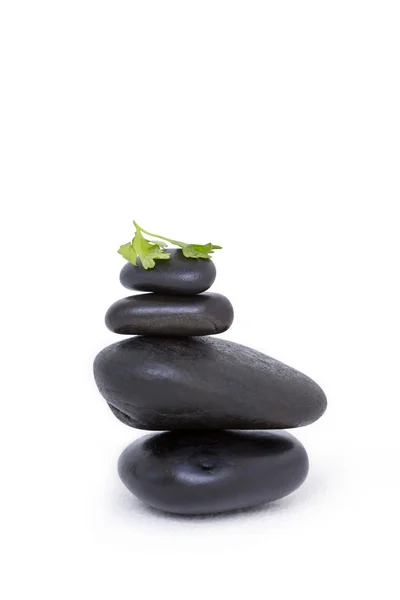 Tower of pebbles with branch of herb — Stock Photo, Image