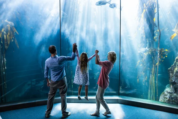 Parents lifting dauhter behind fish tank — 스톡 사진