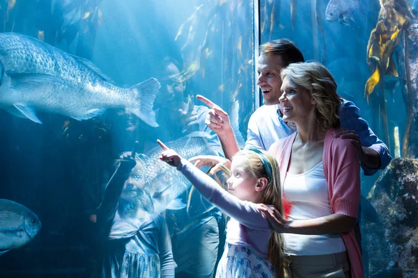 Семья, бросающая рыбу в аквариум — стоковое фото