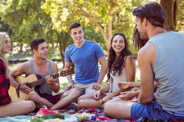 Amigos felices en el parque haciendo picnic — Foto de Stock