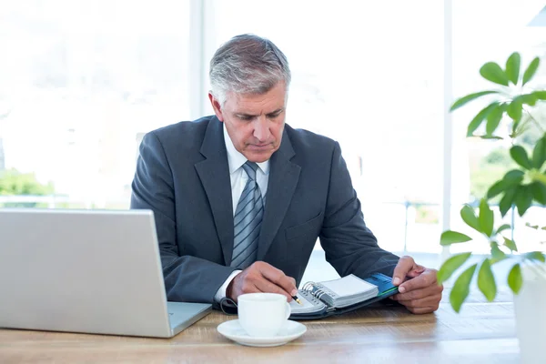 Empresário verificando seu diário — Fotografia de Stock