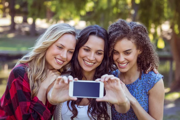 Happy hipsters taking a selfie — Stock Photo, Image