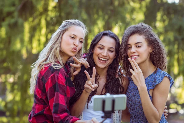 Happy hipsters taking a selfie in the park — Stock Photo, Image