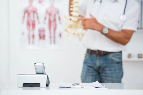 Läkare visar anatomiska ryggraden — Stockfoto