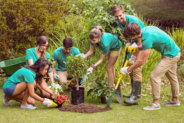 Amigos felizes jardinagem para a comunidade — Fotografia de Stock