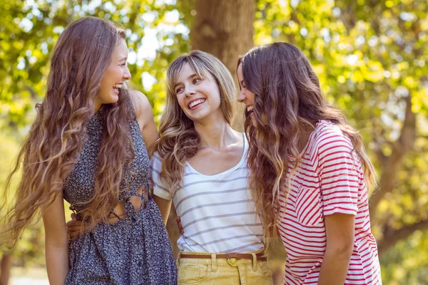 Amici felici che si fanno un selfie — Foto Stock