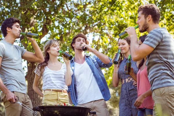 Amici felici nel parco che fanno barbecue — Foto Stock