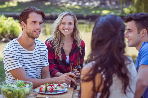 Glückliche Freunde im Park beim Mittagessen — Stockfoto