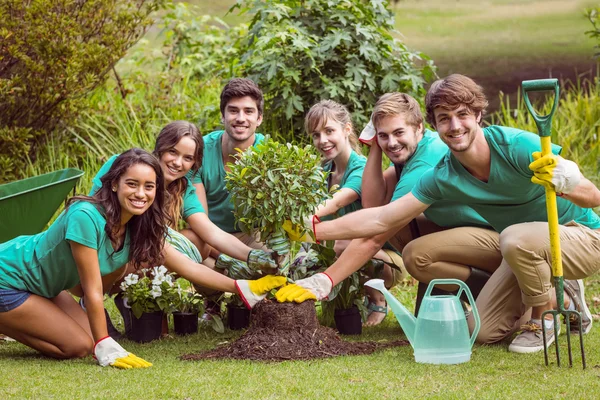 Amigos felizes jardinagem para a comunidade — Fotografia de Stock