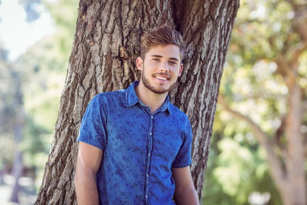 Guapo hipster sonriendo en el parque —  Fotos de Stock