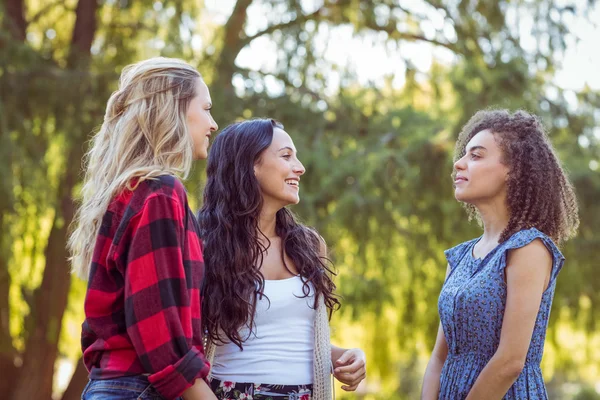 Hipsters talking in the park — Stock Photo, Image