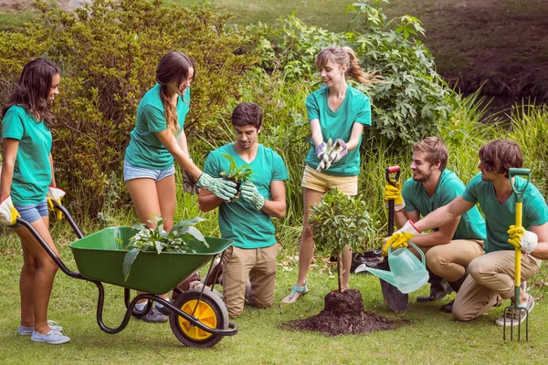 Amigos felices jardinería para la comunidad —  Fotos de Stock