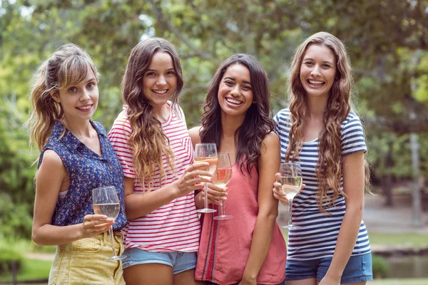 Happy friends drinking in the park — Stock Photo, Image