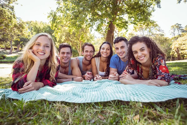 Amici felici nel parco a fare picnic — Foto Stock