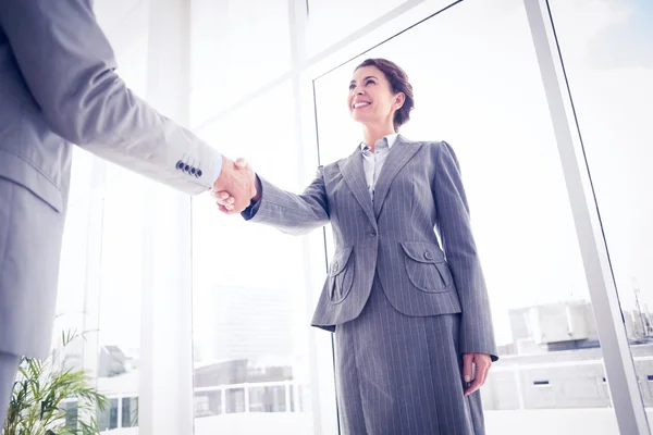 Business colleagues greeting each other — Stock Photo, Image