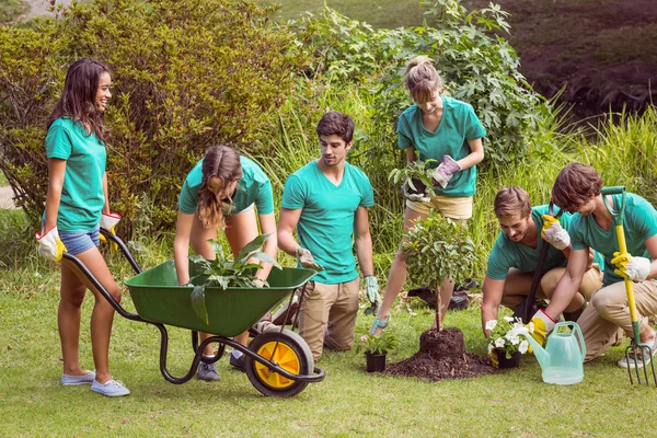 Amigos felices jardinería para la comunidad —  Fotos de Stock