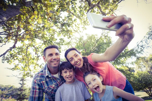 Щаслива сім'я в парку приймає селфі — стокове фото