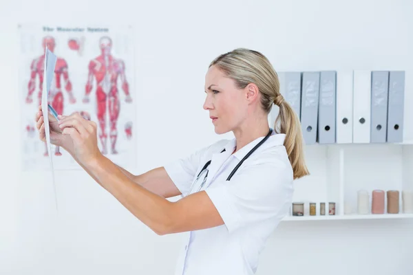 Concentrate doctor looking at X Rays — Stock Photo, Image