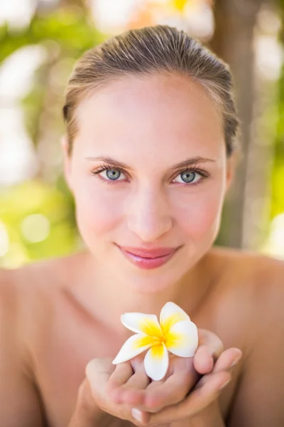 Mulher bonita jovem — Fotografia de Stock