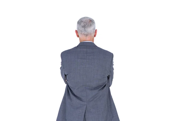 Businessman with grey hair — Stock Photo, Image
