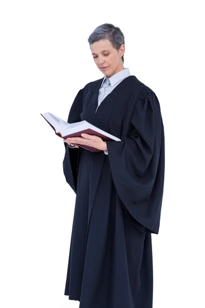Серьезный адвокат, читающий кодекс права — стоковое фото