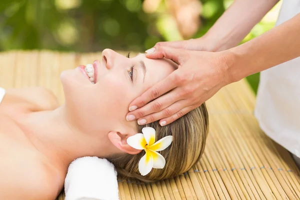 Mujer recibiendo masaje facial —  Fotos de Stock