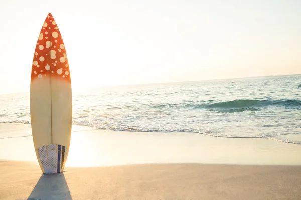 Surfbrett steht auf dem Sand — Stockfoto