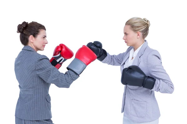 Empresárias com luvas de boxe lutando — Fotografia de Stock