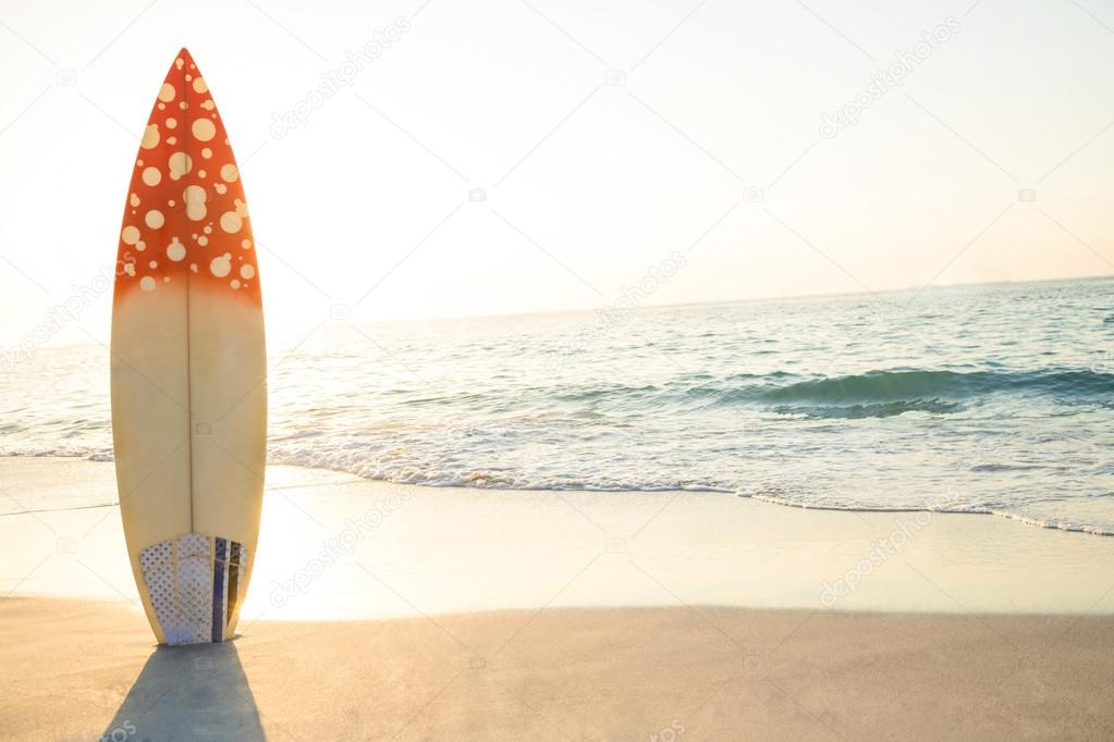 Standing on 2024 a surfboard