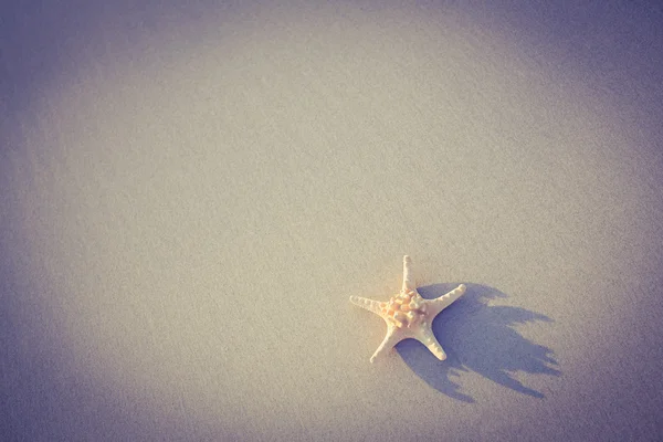 Starfish on sand on see — Stock Photo, Image