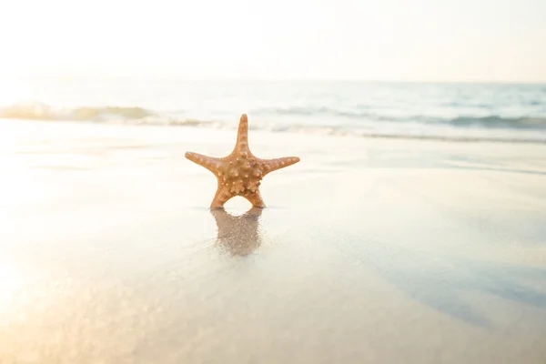 A homok a Starfish lásd — Stock Fotó
