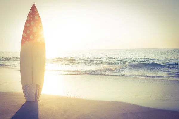 Surf board staande op het zand — Stockfoto