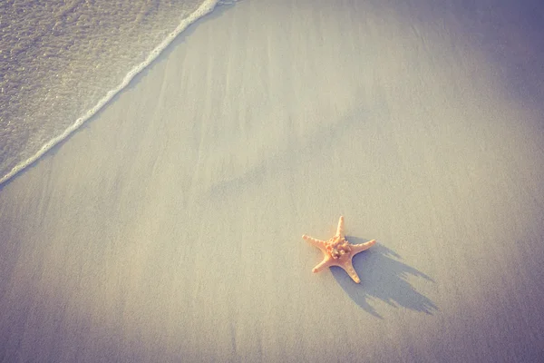 Estrella de mar en la arena en ver — Foto de Stock