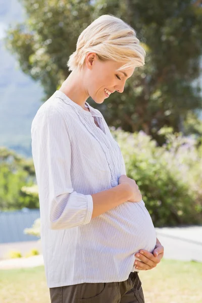Блондинка вагітна руками на животі — стокове фото