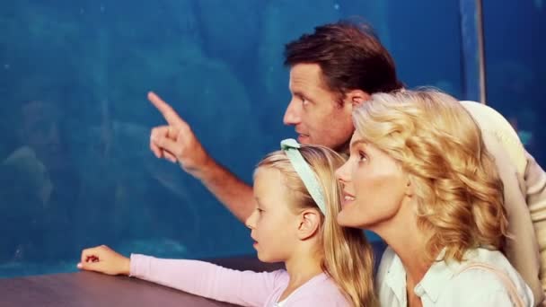 Glückliche Familie schaut sich Fische an — Stockvideo