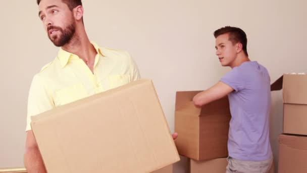 Mannen verplaatst een appartement — Stockvideo