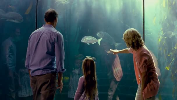 Familie zeigt auf Fische im Aquarium — Stockvideo